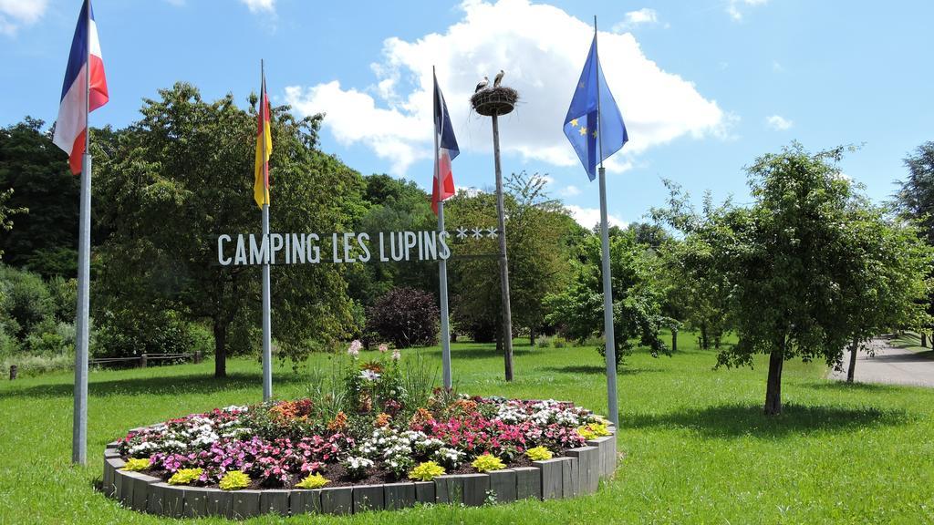 Seppois-le-Bas Camping Les Lupins מראה חיצוני תמונה